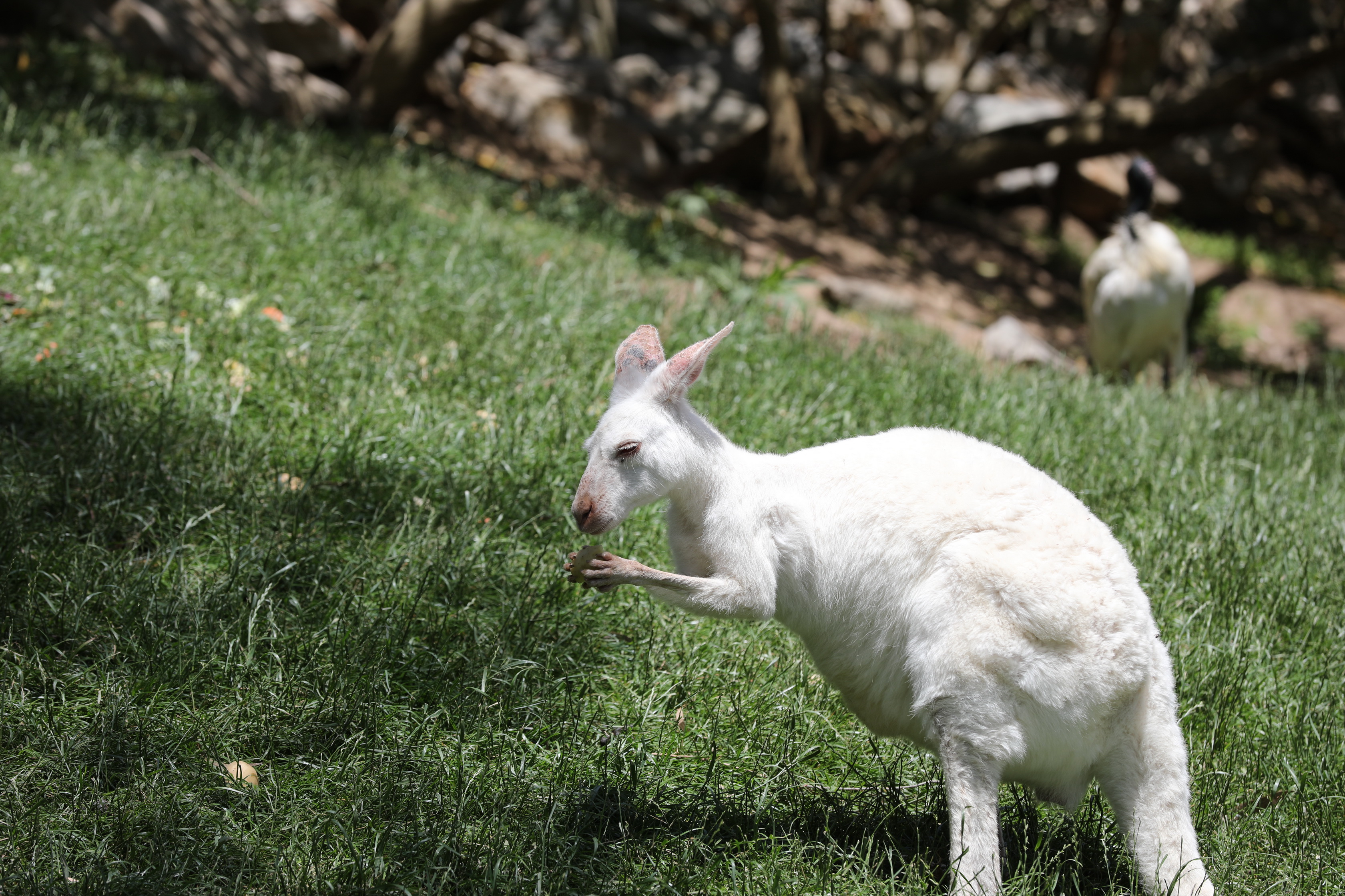 2019 11 22 14 06 14 Canon EOS 5D Mark IV 0013